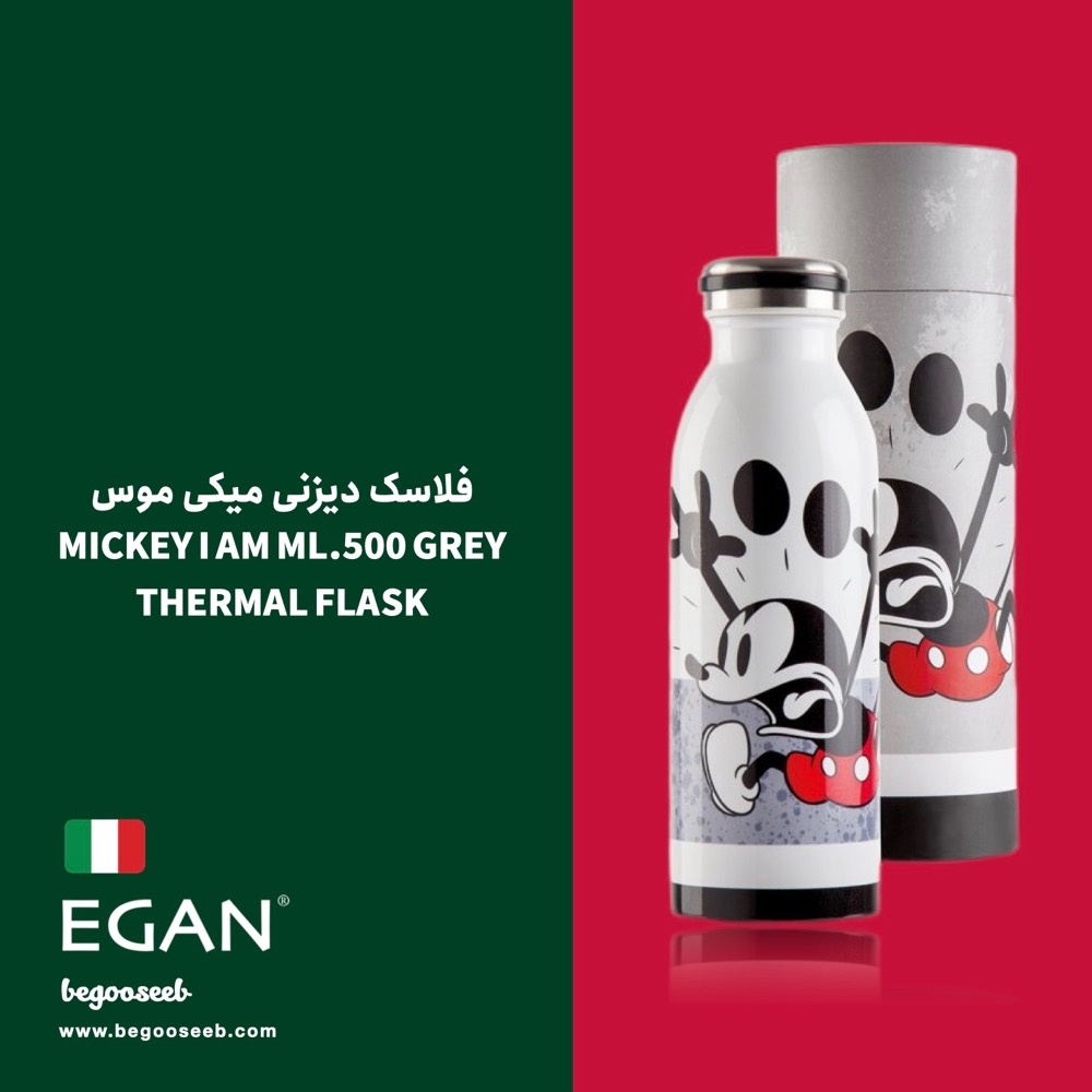  فلاسک دیزنی ایگان egan 